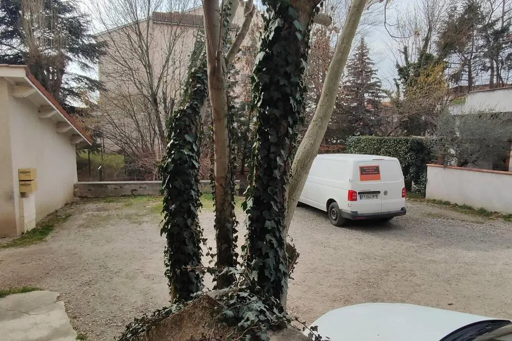 Apartment Appart De Charme A 2 Pas Du Centre De Montbrison France